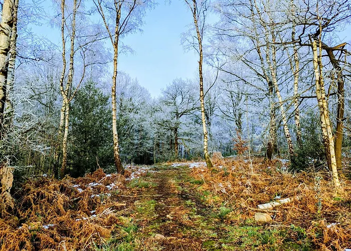 La Petite Maison Dans La Prairie By Welchome Vakantiehuis